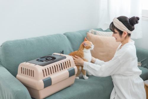 キャリーバッグに猫を入れる女性