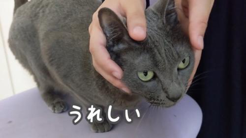 うれしい