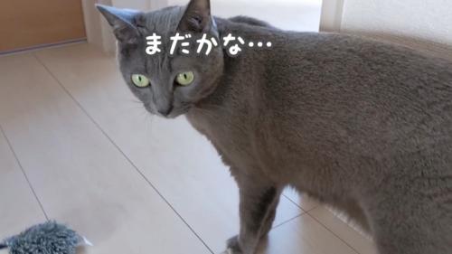 まだかな…