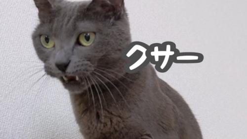 クサー