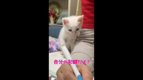 自分の記録だよ?