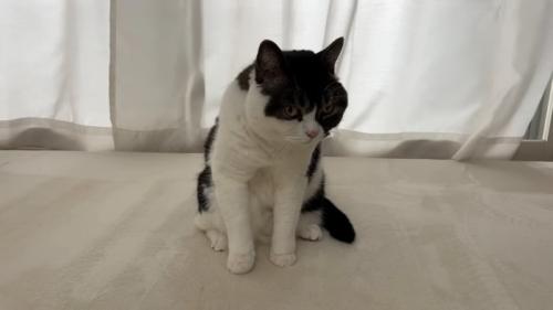 悩むうま次郎くん