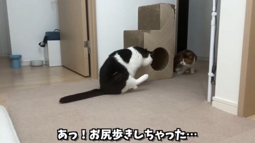 お尻歩きするうま次郎くん