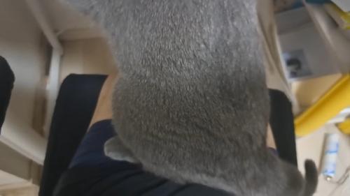 足元