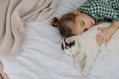 子どもと一緒に寝る猫