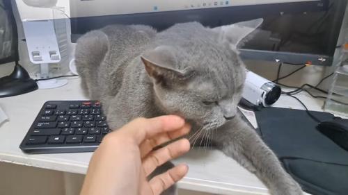 頬をなでなで