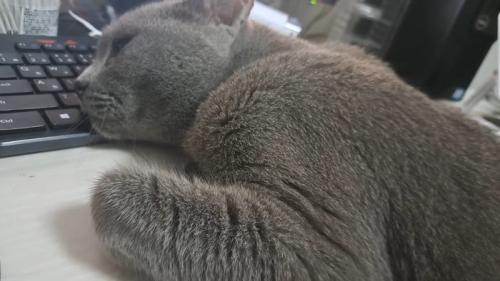 肩のアップ