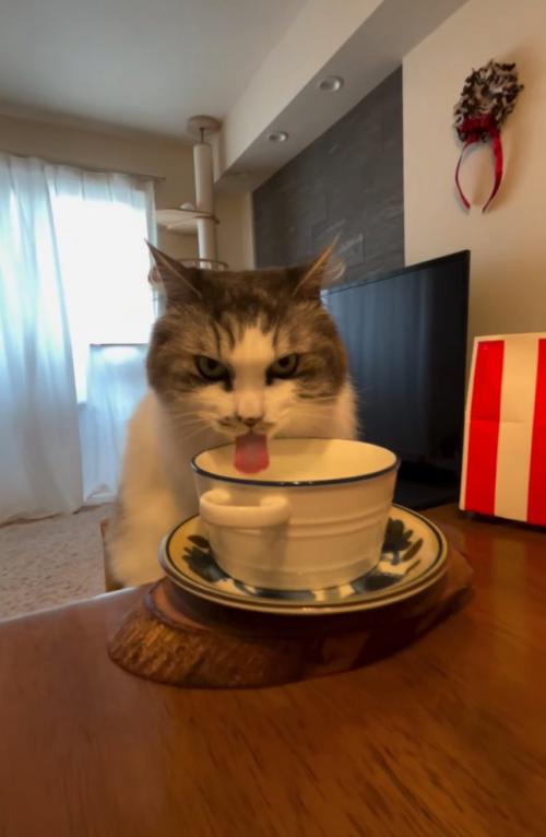 見つめながら飲む