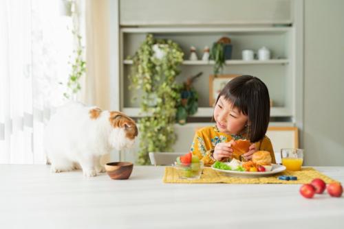 食事をする女の子と猫