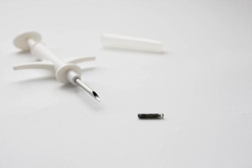 マイクロチップ専用注射器