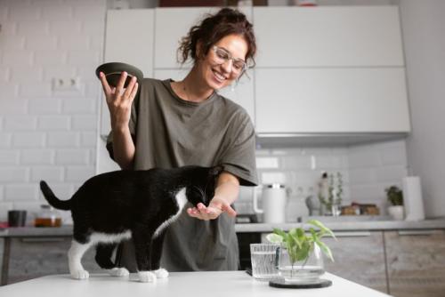 キッチンで女性からフードをもらう猫