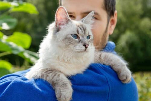 青い服を着た人に抱っこされる猫