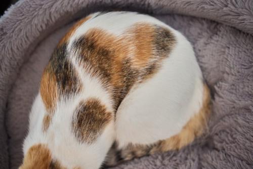 浮き出るハート