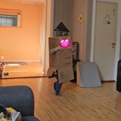 段ボールをかぶった男の子