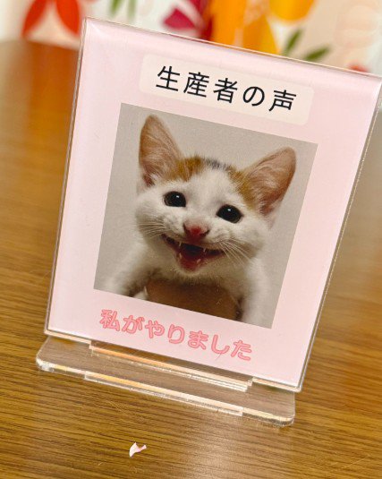 猫の写真と乳歯