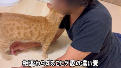 顎ヒゲにスリスリ