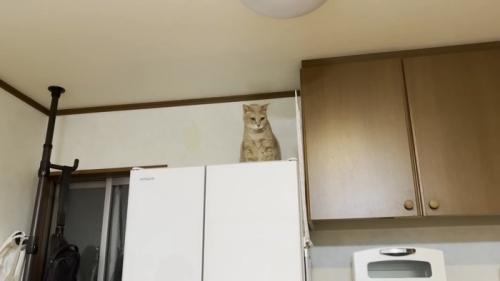 斜めを向いて呆然