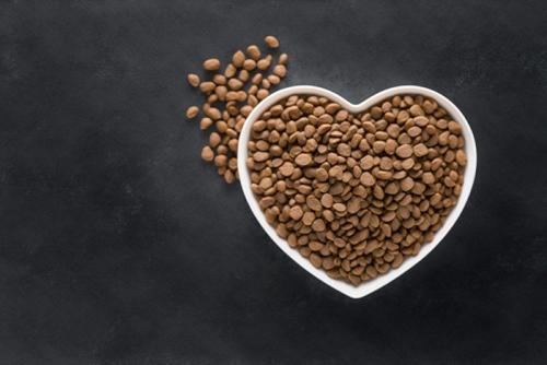 置きっぱなしのフード