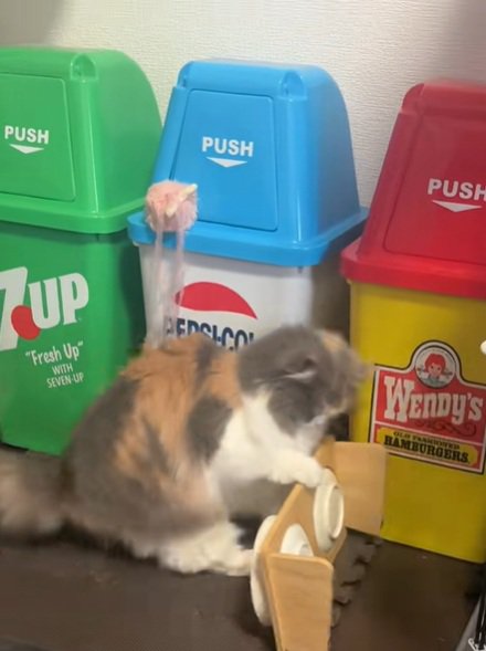 ひっくり返すねこ