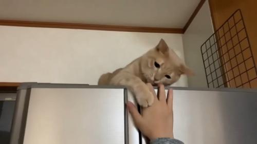 手にタッチ(アップ)