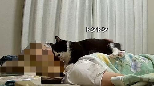 トントン
