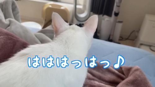 はははっはっ
