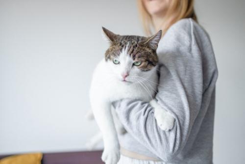 仏頂面で抱かさる猫