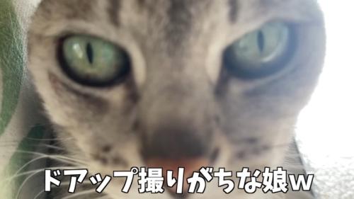 ドアップ撮りがち