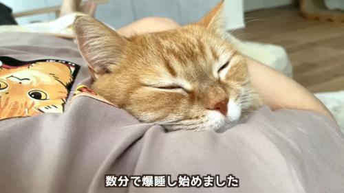 眠るプリンくん