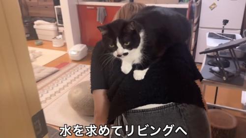 リビングへ