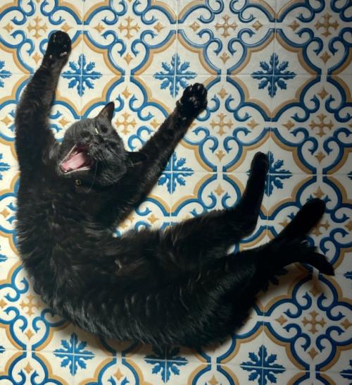 仰向けであくび