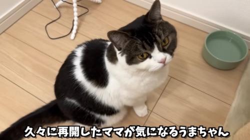 ぺこ美ちゃんを見上げるうま次郎くん