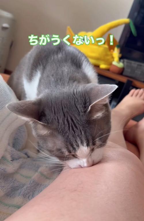 「違くない」