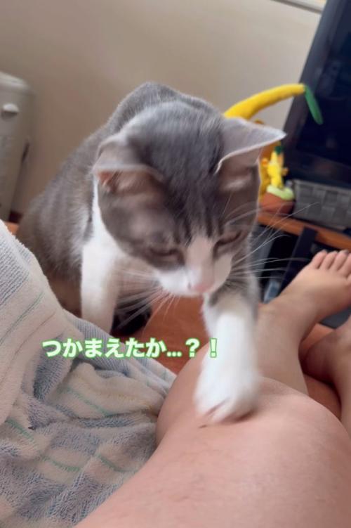 前足の下を確認