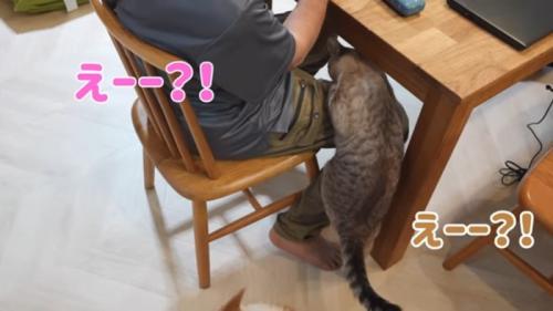 えー?!