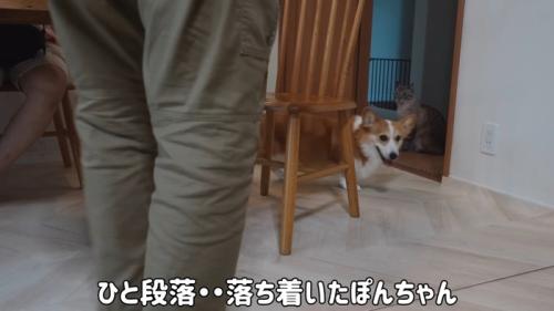 ひと段落
