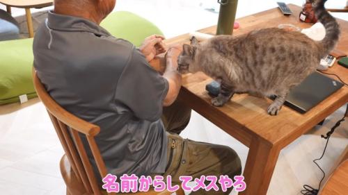 腕をくんくん