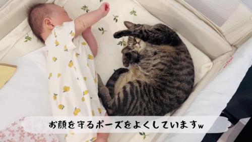 ベビーベッドで寝る赤ちゃんとキジトラ猫