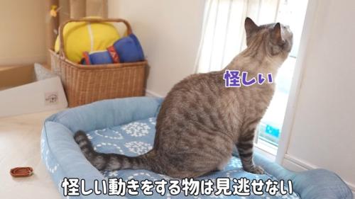 怪しい