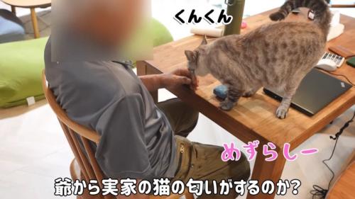 くんくん