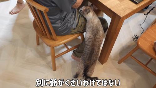 二足立ち
