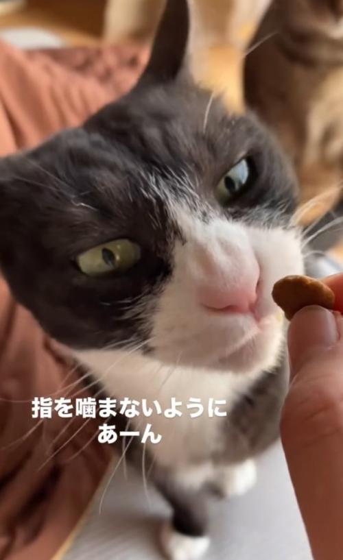 口元まで持っていく