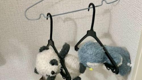 干されているぬいぐるみ