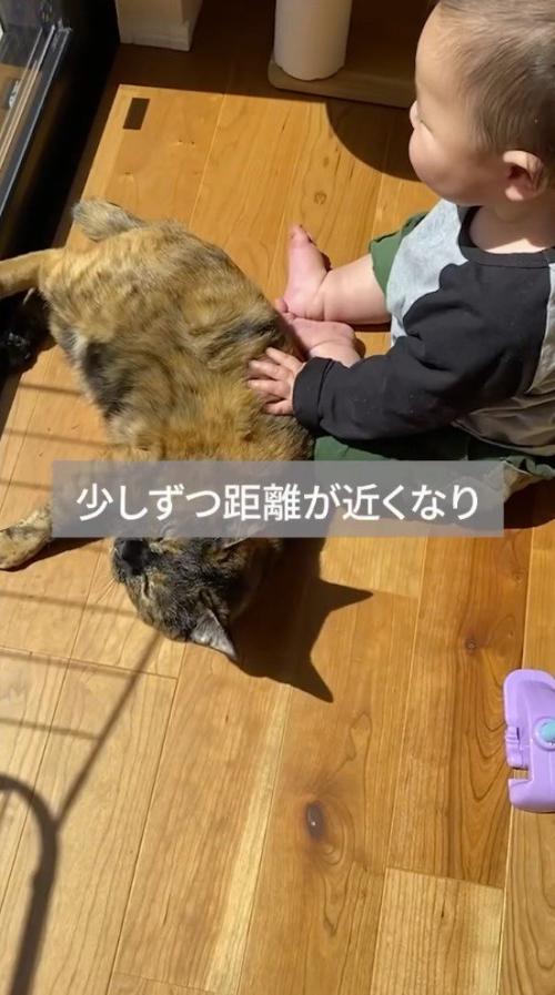 窓際で眠る猫の隣に座る赤ちゃん