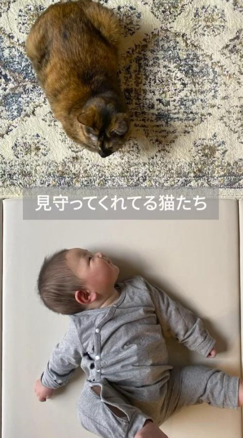 昼寝をしている赤ちゃんのそばに座る猫
