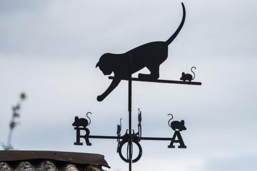 屋根の上の風見猫