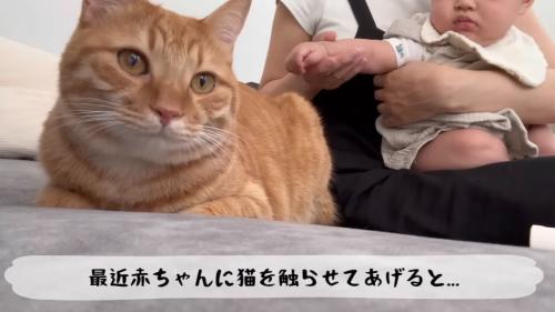赤ちゃんの隣にいる猫