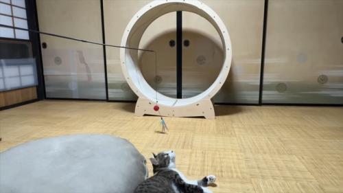 上を見て