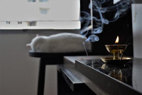 子猫
