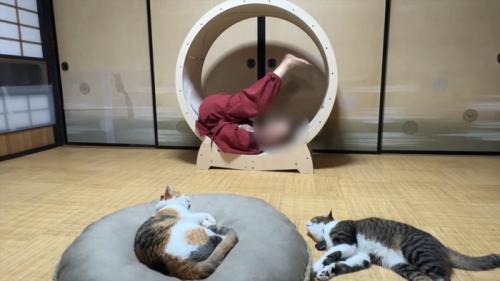 足を上げる飼い主さん